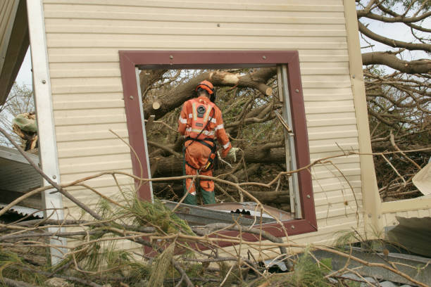 Best Stump Grinding and Removal  in Country Knolls, NY